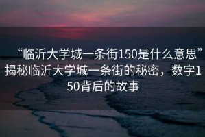 “臨沂大學(xué)城一條街150是什么意思”揭秘臨沂大學(xué)城一條街的秘密，數(shù)字150背后的故事