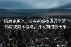 婚房變糞池，業(yè)主新婚夜遭遇崩潰，婚房被糞水浸泡，開發(fā)商道歉無果