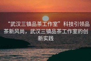 “武漢三鎮(zhèn)品茶工作室”科技引領(lǐng)品茶新風(fēng)尚，武漢三鎮(zhèn)品茶工作室的創(chuàng)新實(shí)踐