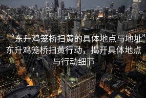 “東升雞籠橋掃黃的具體地點與地址”東升雞籠橋掃黃行動，揭開具體地點與行動細節(jié)