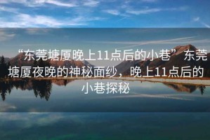 “東莞塘廈晚上11點后的小巷”東莞塘廈夜晚的神秘面紗，晚上11點后的小巷探秘