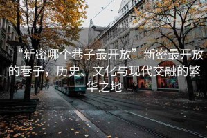 “新密哪個巷子最開放”新密最開放的巷子，歷史、文化與現(xiàn)代交融的繁華之地