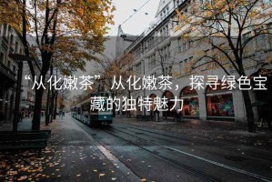 “從化嫩茶”從化嫩茶，探尋綠色寶藏的獨特魅力