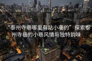 “泰州寺巷哪里有站小巷的”探索泰州寺巷的小巷風(fēng)情與獨(dú)特韻味