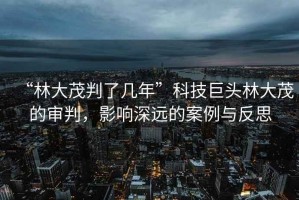 “林大茂判了幾年”科技巨頭林大茂的審判，影響深遠的案例與反思