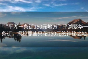 “平湖一條街150元地方”平湖繁華一條街，揭秘那些只花150元的神秘之地