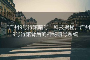 “廣州9號行館暗號”科技揭秘，廣州9號行館背后的神秘暗號系統(tǒng)
