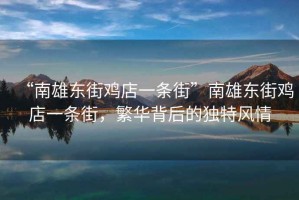 “南雄東街雞店一條街”南雄東街雞店一條街，繁華背后的獨特風情