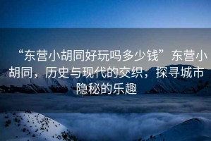 “東營(yíng)小胡同好玩嗎多少錢”東營(yíng)小胡同，歷史與現(xiàn)代的交織，探尋城市隱秘的樂(lè)趣