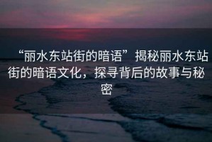 “麗水東站街的暗語”揭秘麗水東站街的暗語文化，探尋背后的故事與秘密