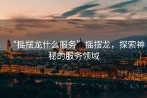 “搖擺龍什么服務(wù)”搖擺龍，探索神秘的服務(wù)領(lǐng)域