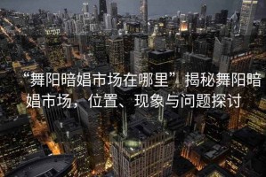 “舞陽暗娼市場在哪里”揭秘舞陽暗娼市場，位置、現(xiàn)象與問題探討