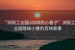 “瀏陽工業(yè)園100塊的小巷子”瀏陽工業(yè)園隱秘小巷的百塊故事