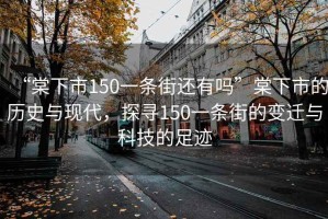 “棠下市150一條街還有嗎”棠下市的歷史與現(xiàn)代，探尋150一條街的變遷與科技的足跡