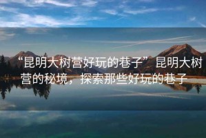 “昆明大樹(shù)營(yíng)好玩的巷子”昆明大樹(shù)營(yíng)的秘境，探索那些好玩的巷子