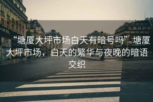 “塘廈大坪市場(chǎng)白天有暗號(hào)嗎”塘廈大坪市場(chǎng)，白天的繁華與夜晚的暗語(yǔ)交織