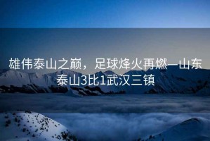 雄偉泰山之巔，足球烽火再燃—山東泰山3比1武漢三鎮(zhèn)