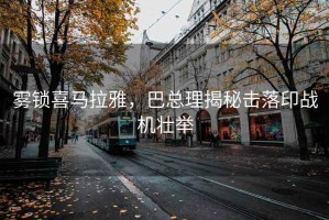 霧鎖喜馬拉雅，巴總理揭秘?fù)袈溆?zhàn)機(jī)壯舉