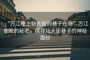“萬(wàn)江晚上站大街的巷子在哪”萬(wàn)江夜晚的秘密，探尋站大街巷子的神秘面紗