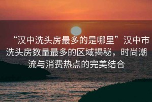 “漢中洗頭房最多的是哪里”漢中市洗頭房數(shù)量最多的區(qū)域揭秘，時尚潮流與消費熱點的完美結合