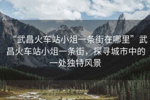 “武昌火車站小俎一條街在哪里”武昌火車站小俎一條街，探尋城市中的一處獨(dú)特風(fēng)景