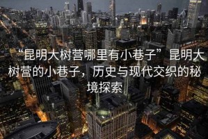 “昆明大樹營哪里有小巷子”昆明大樹營的小巷子，歷史與現(xiàn)代交織的秘境探索