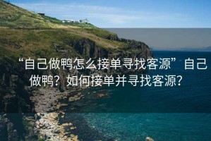 “自己做鴨怎么接單尋找客源”自己做鴨？如何接單并尋找客源？