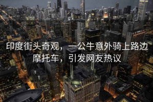 印度街頭奇觀，一公牛意外騎上路邊摩托車，引發(fā)網(wǎng)友熱議