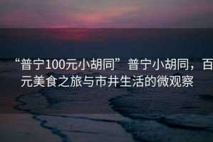 “普寧100元小胡同”普寧小胡同，百元美食之旅與市井生活的微觀察