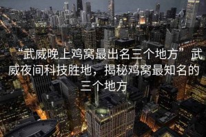 “武威晚上雞窩最出名三個地方”武威夜間科技勝地，揭秘雞窩最知名的三個地方