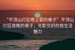 “平頂山燈區(qū)晚上耍的巷子”平頂山燈區(qū)夜晚的巷子，光影交織的夜生活魅力
