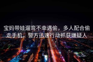 寶媽帶娃遛彎不幸遇偷，多人配合偷走手機，警方迅速行動抓獲嫌疑人