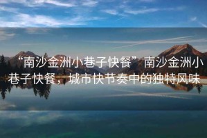 “南沙金洲小巷子快餐”南沙金洲小巷子快餐，城市快節(jié)奏中的獨特風味