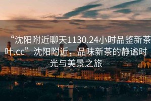 “沈陽附近聊天1130.24小時品鑒新茶葉.cc”沈陽附近，品味新茶的靜謐時光與美景之旅