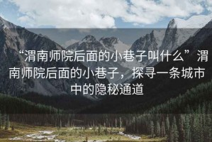 “渭南師院后面的小巷子叫什么”渭南師院后面的小巷子，探尋一條城市中的隱秘通道