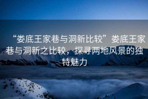 “婁底王家巷與洞新比較”婁底王家巷與洞新之比較，探尋兩地風景的獨特魅力