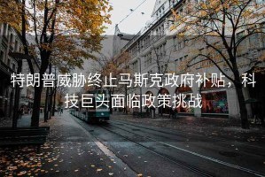 特朗普威脅終止馬斯克政府補(bǔ)貼，科技巨頭面臨政策挑戰(zhàn)