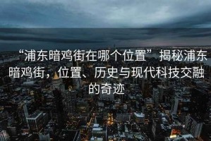 “浦東暗雞街在哪個位置”揭秘浦東暗雞街，位置、歷史與現(xiàn)代科技交融的奇跡