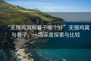 “無(wú)錫雞窩和巷子哪個(gè)好”無(wú)錫雞窩與巷子，一場(chǎng)深度探索與比較