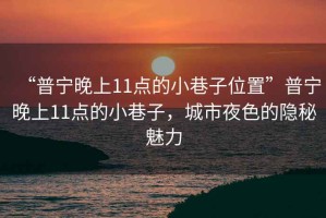 “普寧晚上11點(diǎn)的小巷子位置”普寧晚上11點(diǎn)的小巷子，城市夜色的隱秘魅力