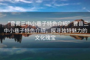 “曹縣三中小巷子特色介紹”曹縣三中小巷子特色介紹，探尋獨特魅力的文化瑰寶