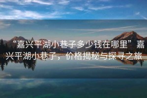 “嘉興平湖小巷子多少錢在哪里”嘉興平湖小巷子，價(jià)格揭秘與探尋之旅
