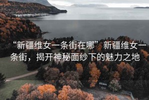 “新疆維女一條街在哪”新疆維女一條街，揭開神秘面紗下的魅力之地