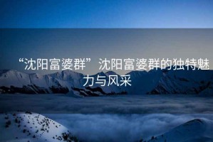 “沈陽(yáng)富婆群”沈陽(yáng)富婆群的獨(dú)特魅力與風(fēng)采