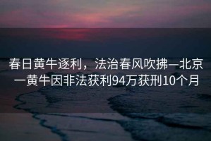 春日黃牛逐利，法治春風(fēng)吹拂—北京一黃牛因非法獲利94萬獲刑10個月