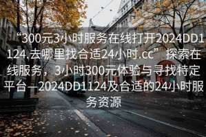“300元3小時服務在線打開2024DD1124.去哪里找合適24小時.cc”探索在線服務，3小時300元體驗與尋找特定平臺—2024DD1124及合適的24小時服務資源