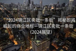 “2024錦江區(qū)賣批一條街”揭秘即將崛起的商業(yè)地標(biāo)—錦江區(qū)賣批一條街（2024展望）