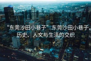 “東莞沙田小巷子”東莞沙田小巷子，歷史、人文與生活的交織