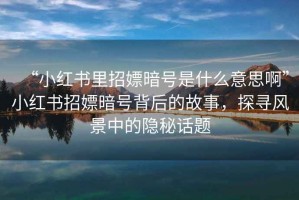“小紅書里招嫖暗號是什么意思啊”小紅書招嫖暗號背后的故事，探尋風景中的隱秘話題