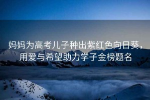 媽媽為高考兒子種出紫紅色向日葵，用愛與希望助力學(xué)子金榜題名